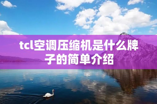 tcl空调压缩机是什么牌子的简单介绍