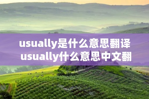 usually是什么意思翻译 usually什么意思中文翻译文翻译