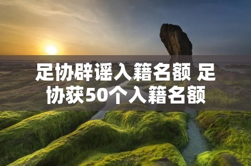 足协辟谣入籍名额 足协获50个入籍名额
