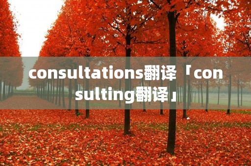 consultations翻译「consulting翻译」