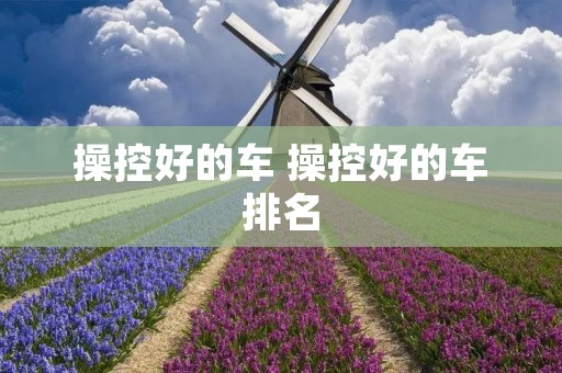操控好的车 操控好的车排名