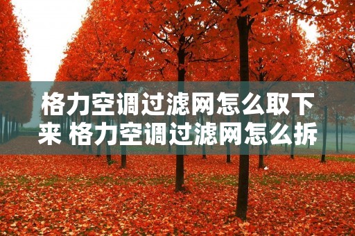 格力空调过滤网怎么取下来 格力空调过滤网怎么拆洗视频