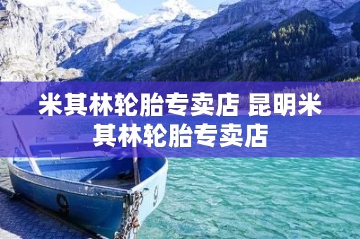 米其林轮胎专卖店 昆明米其林轮胎专卖店