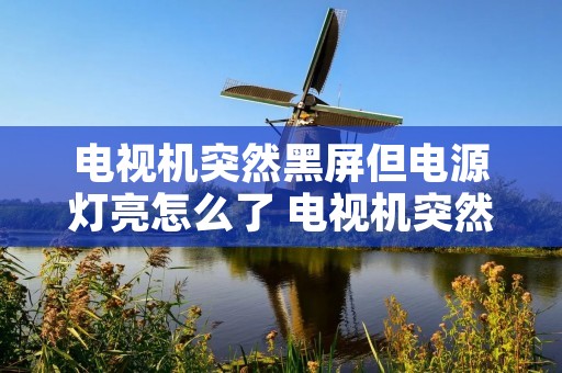 电视机突然黑屏但电源灯亮怎么了 电视机突然黑屏电源灯也不亮了