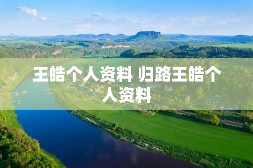 王皓个人资料 归路王皓个人资料