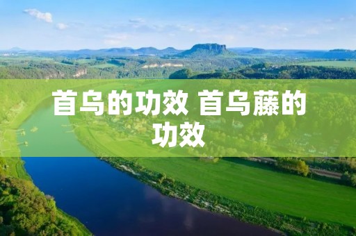 首乌的功效 首乌藤的功效