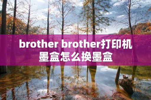 brother brother打印机墨盒怎么换墨盒 brother brother打印机墨盒怎么换墨盒