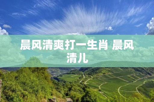 晨风清爽打一生肖 晨风清儿