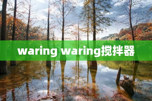 waring waring搅拌器