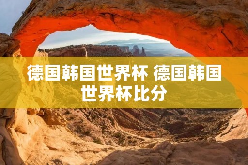 德国韩国世界杯 德国韩国世界杯比分