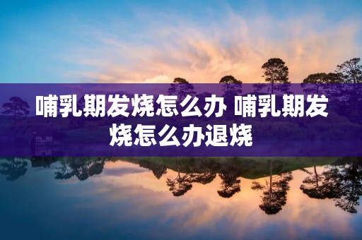 哺乳期发烧怎么办 哺乳期发烧怎么办退烧 哺乳期发烧怎么办 哺乳期发烧怎么办退烧