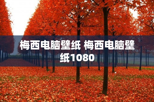 梅西电脑壁纸 梅西电脑壁纸1080
