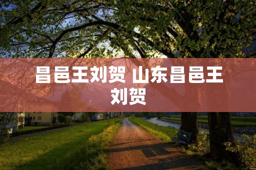 昌邑王刘贺 山东昌邑王刘贺