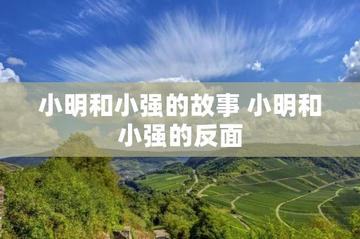 小明和小强的故事 小明和小强的反面 小明和小强的故事 小明和小强的反面