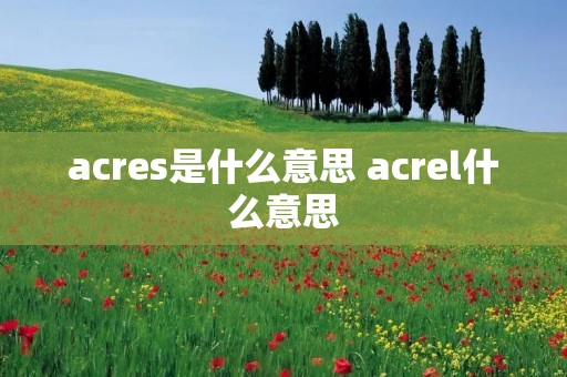 acres是什么意思 acrel什么意思