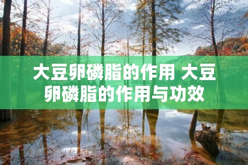 大豆卵磷脂的作用 大豆卵磷脂的作用与功效