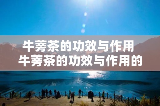 牛蒡茶的功效与作用 牛蒡茶的功效与作用的功能与主治