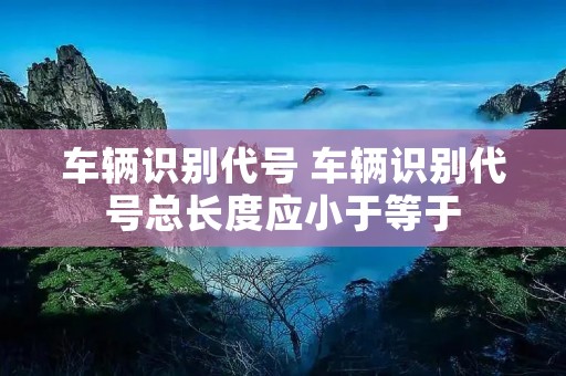车辆识别代号 车辆识别代号总长度应小于等于