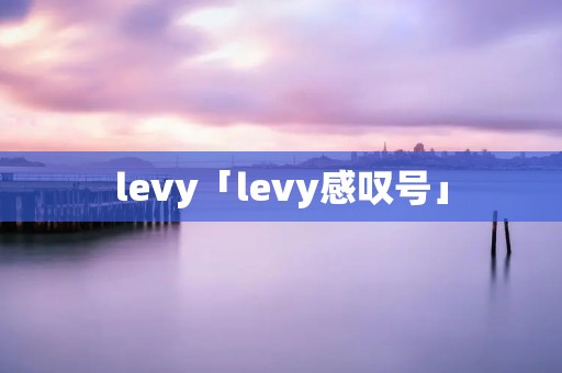 levy「levy感叹号」 levy「levy感叹号」