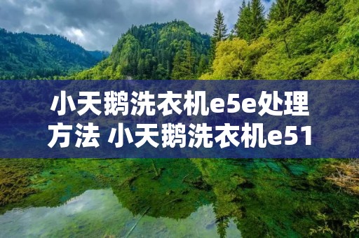 小天鹅洗衣机e5e处理方法 小天鹅洗衣机e51是什么故障