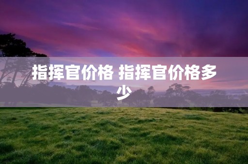 指挥官价格 指挥官价格多少