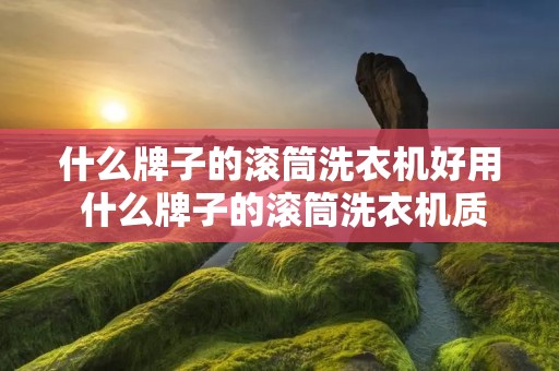 什么牌子的滚筒洗衣机好用 什么牌子的滚筒洗衣机质量比较好 什么牌子的滚筒洗衣机好用 什么牌子的滚筒洗衣机质量比较好