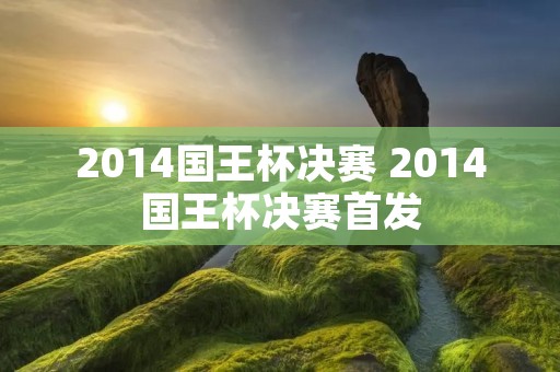 2014国王杯决赛 2014国王杯决赛首发 2014国王杯决赛 2014国王杯决赛首发