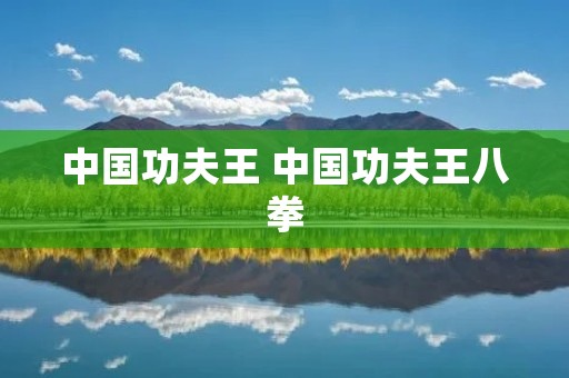 中国功夫王 中国功夫王八拳 中国功夫王 中国功夫王八拳