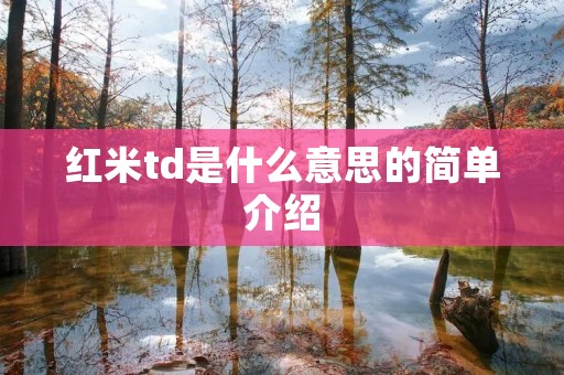 红米td是什么意思的简单介绍 红米td是什么意思的简单介绍