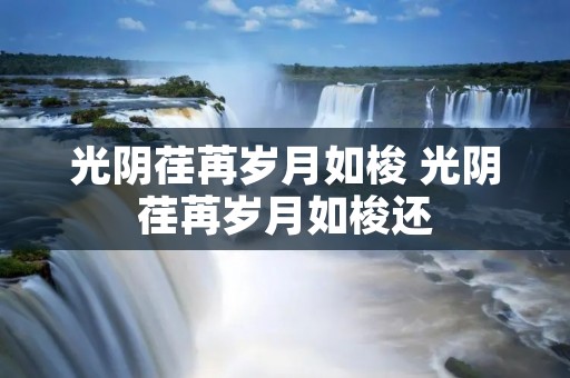 光阴荏苒岁月如梭 光阴荏苒岁月如梭还