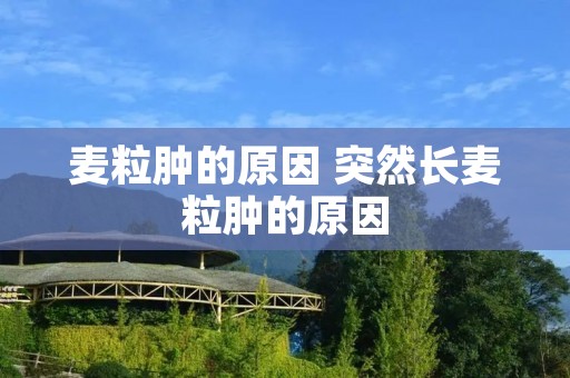 麦粒肿的原因 突然长麦粒肿的原因 麦粒肿的原因 突然长麦粒肿的原因