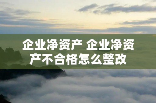 企业净资产 企业净资产不合格怎么整改