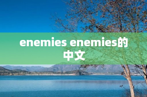 enemies enemies的中文
