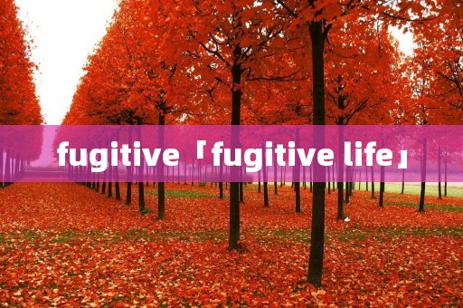 fugitive「fugitive life」 fugitive「fugitive life」
