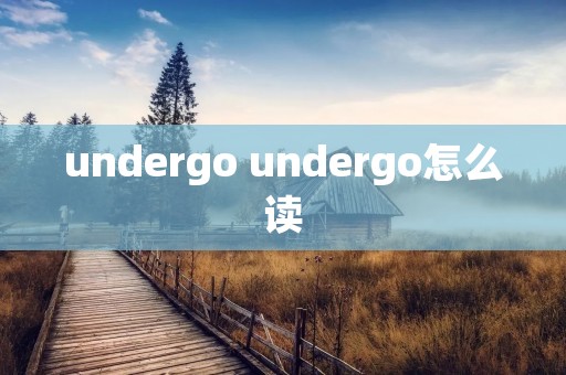 undergo undergo怎么读 undergo undergo怎么读