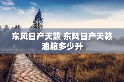 东风日产天籁 东风日产天籁油箱多少升