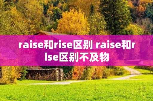 raise和rise区别 raise和rise区别不及物