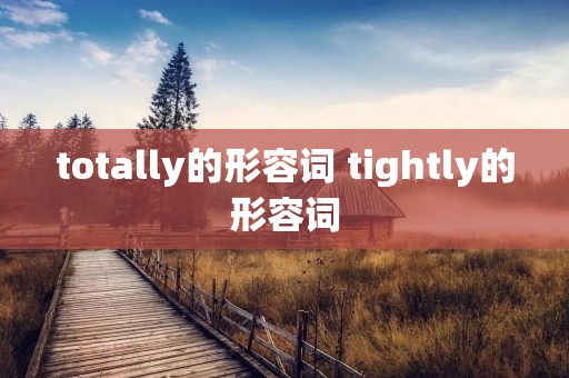 totally的形容词 tightly的形容词