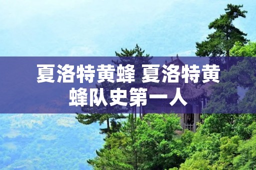 夏洛特黄蜂 夏洛特黄蜂队史第一人 夏洛特黄蜂 夏洛特黄蜂队史第一人