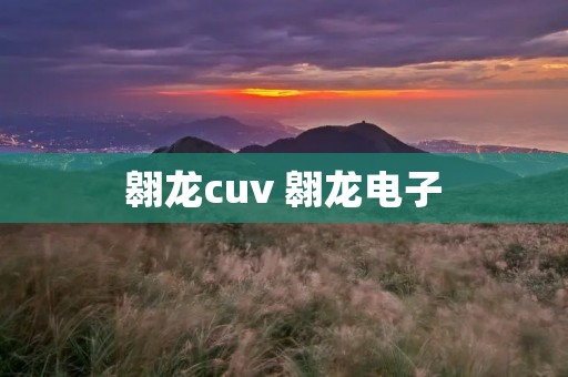 翱龙cuv 翱龙电子