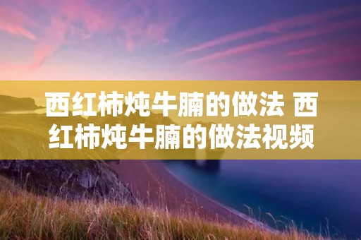 西红柿炖牛腩的做法 西红柿炖牛腩的做法视频