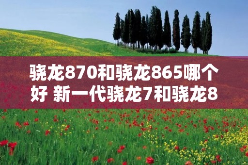 骁龙870和骁龙865哪个好 新一代骁龙7和骁龙870哪个好