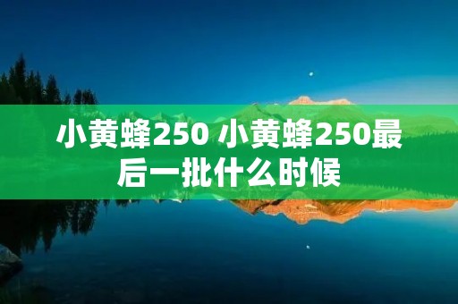 小黄蜂250 小黄蜂250最后一批什么时候