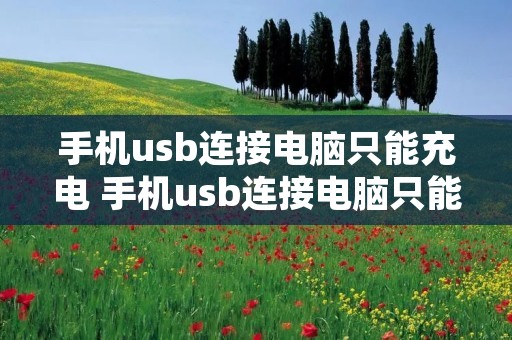 手机usb连接电脑只能充电 手机usb连接电脑只能充电怎么办
