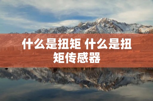 什么是扭矩 什么是扭矩传感器 什么是扭矩 什么是扭矩传感器
