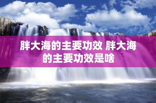 胖大海的主要功效 胖大海的主要功效是啥