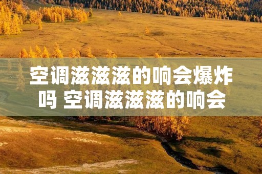 空调滋滋滋的响会爆炸吗 空调滋滋滋的响会爆炸吗怎么回事