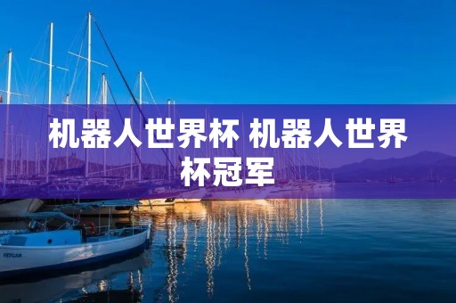 机器人世界杯 机器人世界杯冠军