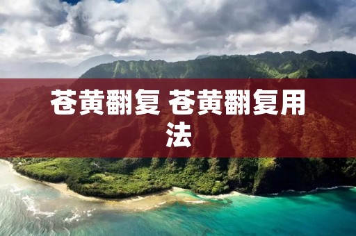 苍黄翻复 苍黄翻复用法
