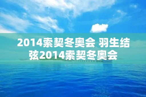 2014索契冬奥会 羽生结弦2014索契冬奥会